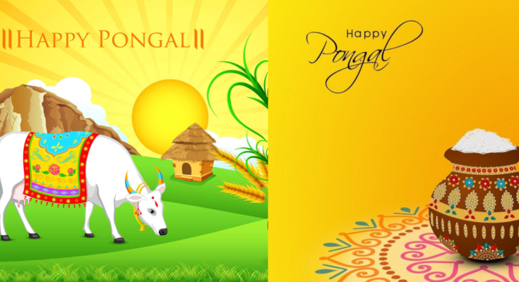 Pongal 2024