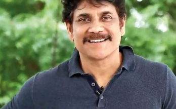 Naa Saami Ranga Box Office Collection Day 1